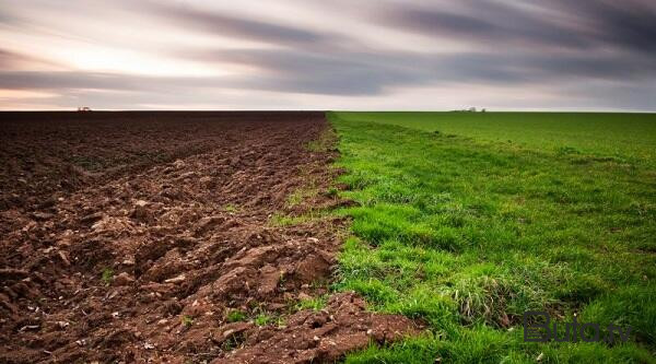  Torpaq yeməyin faydaları...  