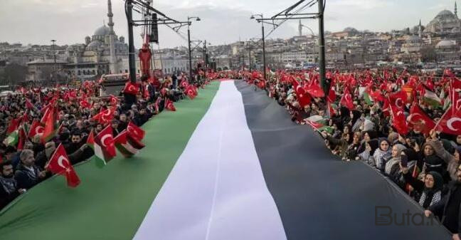  İstanbulda Fəələstinə dəstək yürüşü keçirildi  