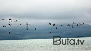  Radikal və sürətli dəyişiklik olmazsa... - NASA alimi  