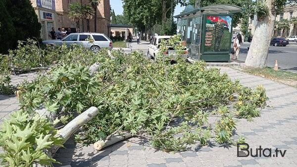  Bakıda güclü külək reklam lövhəsini aşırdı - Foto  