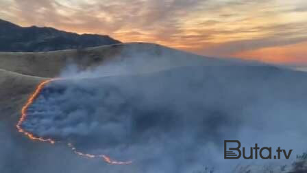  Masallıda meşə yandı - Video  