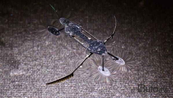  Dünyanın ən sürətli mikrorobotları yaradıldı - Foto  