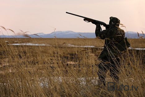  Ərəb sahibkar Azərbaycanda nadir quşları ovladı - Foto  