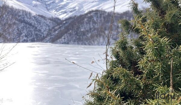  Maralgöl dondu - Foto  
