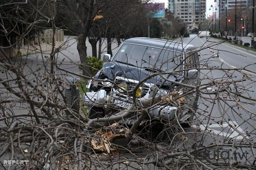  Sürücü sükan arxasında öldü: maşın ağaca çırpıldı  