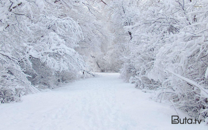  Bu rayonumuzda yarım metrə yaxın qar yağdı  