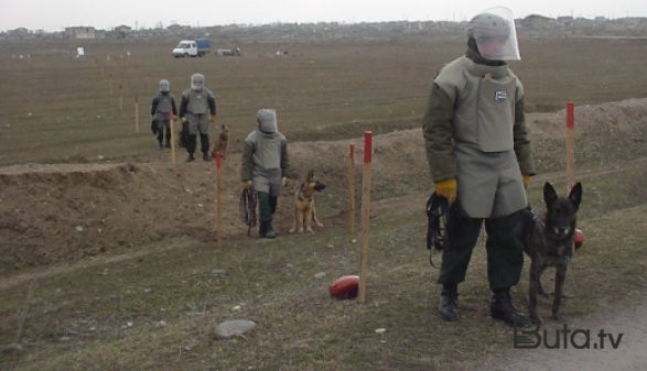  ANAMA-da işləmək istəyənlərin diqqətinə!  