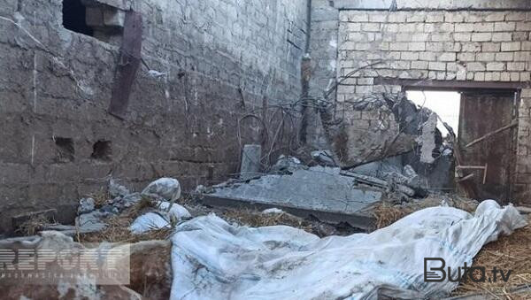  Sumqayıtda ferma uçdu: heyvanlar tələf oldu - Foto  