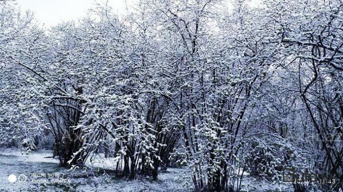  Bu ərazilərə qar yağdı - Faktiki hava  