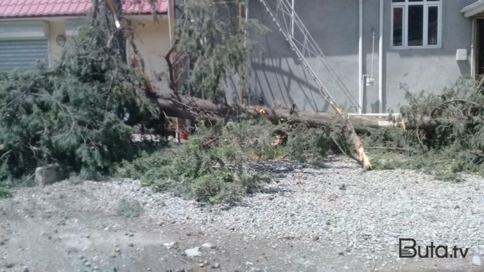  Güclü külək Goranboyda fəsadlar törətdi  