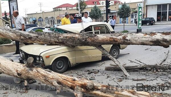  Maşın ağaca çırpıldı: 20 yaşlı gənc öldü  