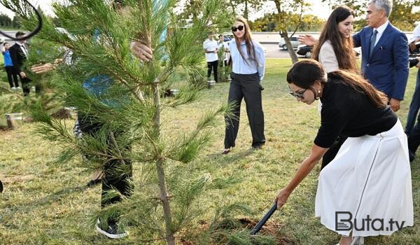  Mehriban Əliyeva ağacəkmə aksiyasında iştirak etdi - Foto  