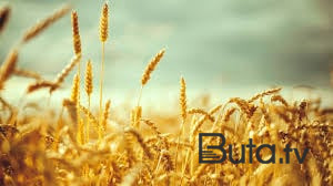  Azərbaycandan daşınan taxıla erməni radikalların “etirazı”  