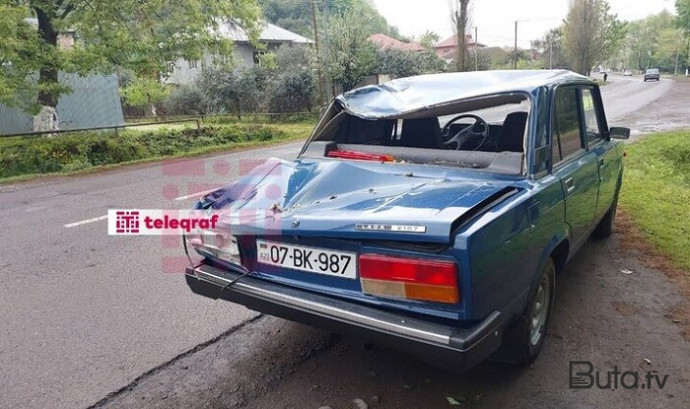  Ağac maşının üzərinə aşdı: gəlin və qayınana xəsarət aldı - Foto  