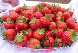  Azərbaycanda çiyələyə zəhərli maddələr qatılır? - Video  