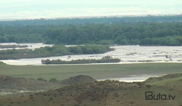  Kür çayı daşdı: Samuxda əkin sahələrini su basdı  