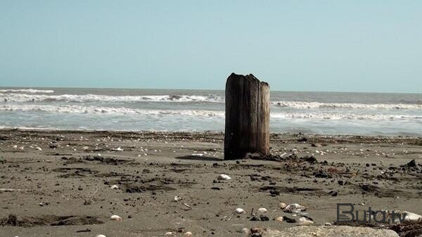 Xəzər sahilində ev tikənlərə xəbərdarlıq - Video  