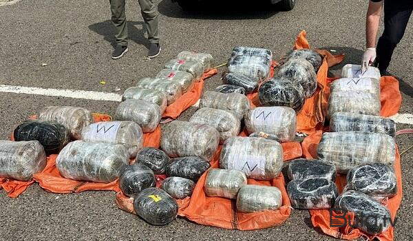  22,7 milyon manatlıq narkotik dövriyyədən çıxarıldı  