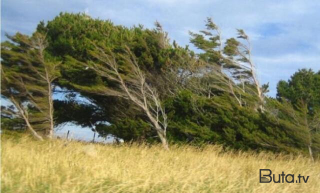 Bəzi yerlərdə külək güclənəcək  