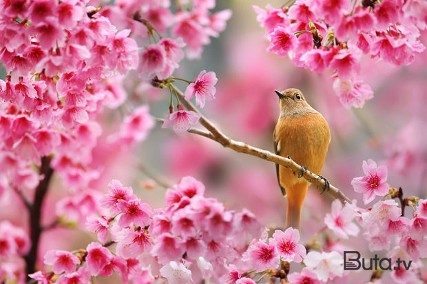  Sabahın hava proqnozu açıqlandı  