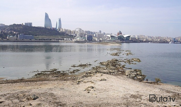  Xəzər çəkilir: Bakı buxtası ilə bağlı həyəcan siqnalı - Foto  