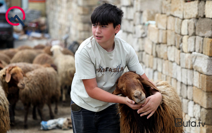  Günün qurbanları... - Fotolar  